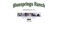 Desktop Screenshot of bluespringsranch.com
