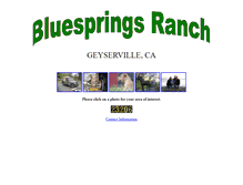 Tablet Screenshot of bluespringsranch.com